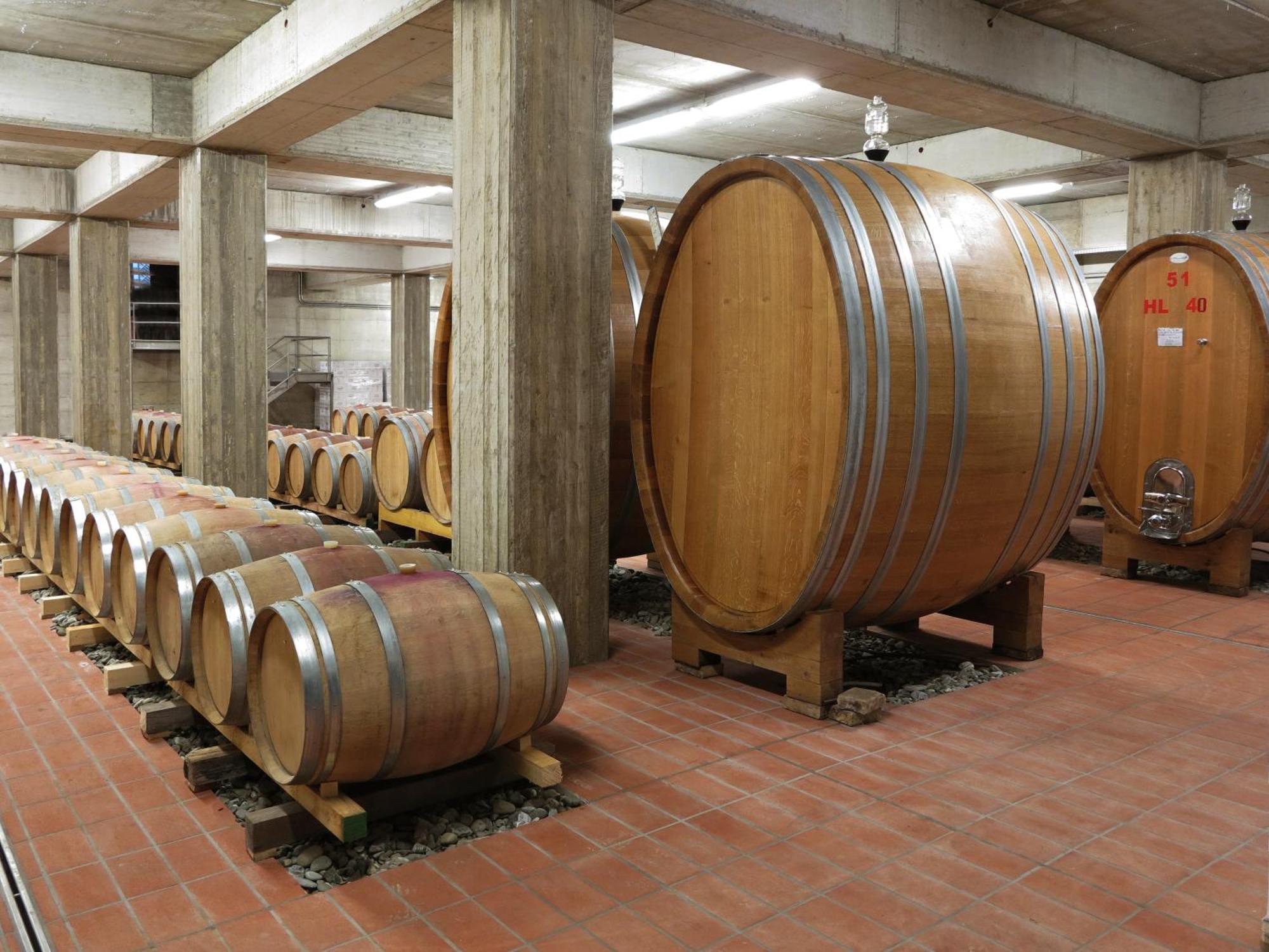Poderi Firenze Pensjonat Cinigiano Zewnętrze zdjęcie