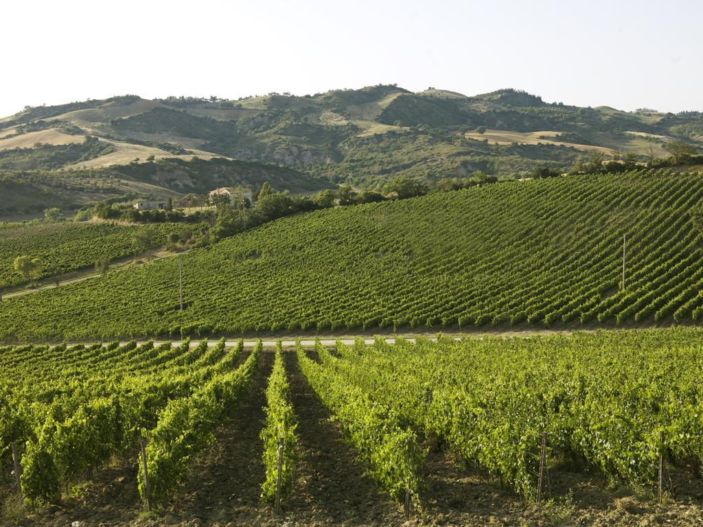 Poderi Firenze Pensjonat Cinigiano Zewnętrze zdjęcie